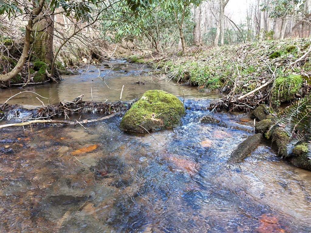 Lot 44A Synacia Drive, Mineral Bluff GA 30559 - Photo