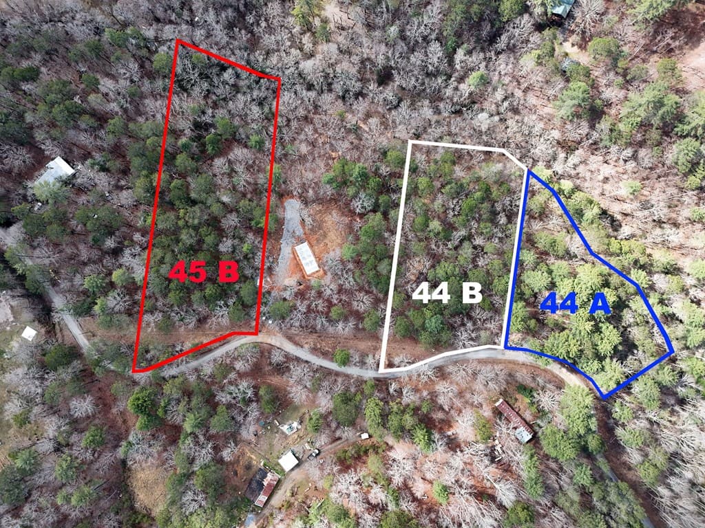 Lot 44A Synacia Drive, Mineral Bluff GA 30559 - Photo