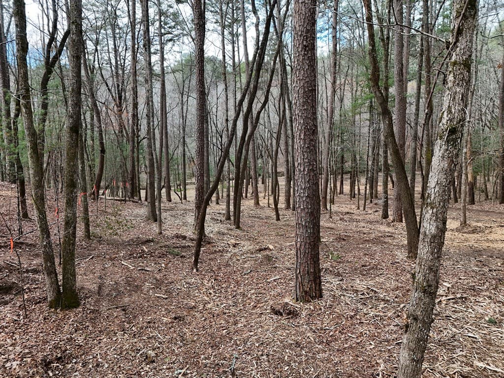 Lot 44A Synacia Drive, Mineral Bluff GA 30559 - Photo