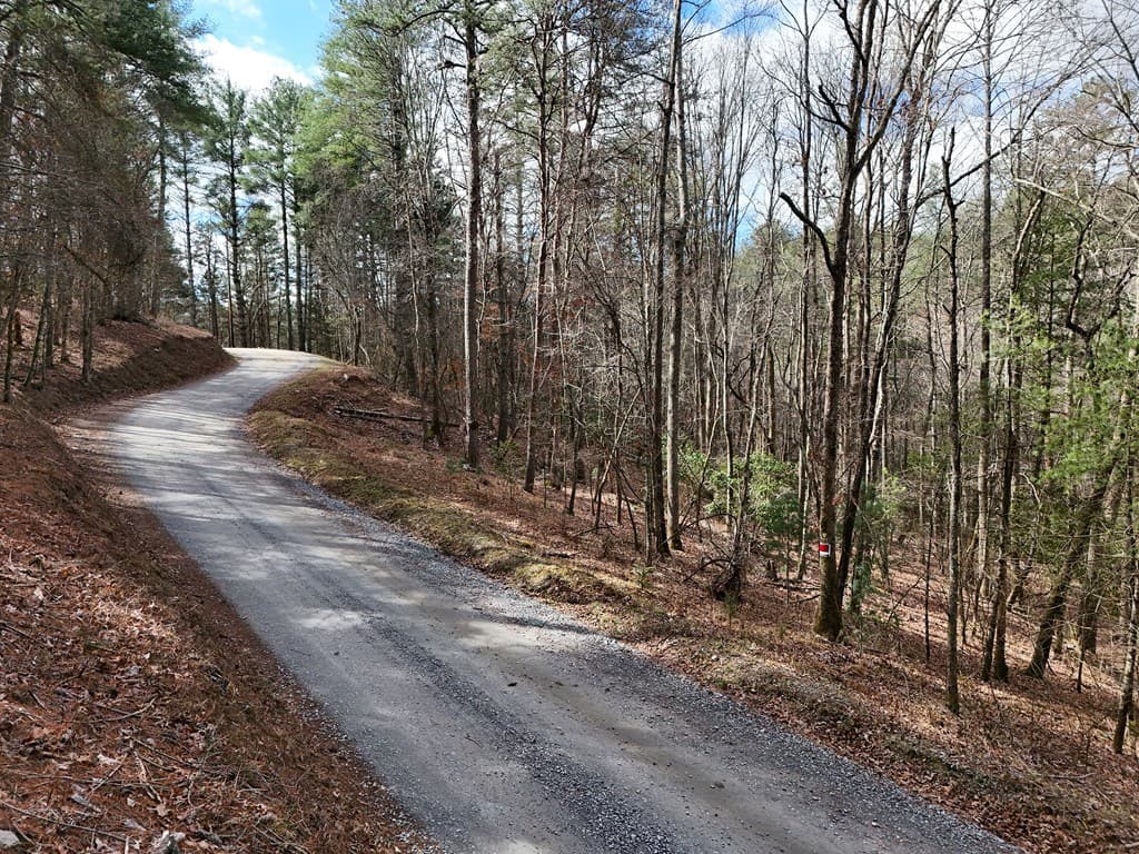 Lot 44A Synacia Drive, Mineral Bluff GA 30559 - Photo