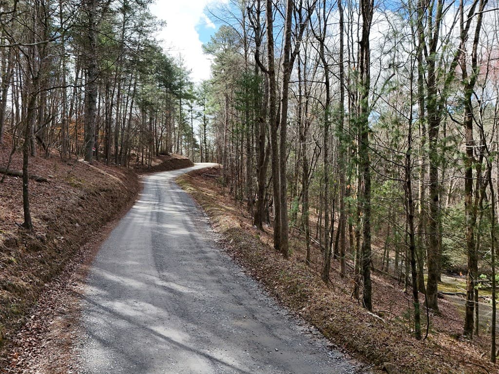 Lot 44A Synacia Drive, Mineral Bluff GA 30559 - Photo