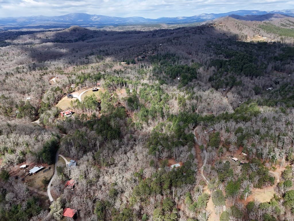 Lot 44A Synacia Drive, Mineral Bluff GA 30559 - Photo