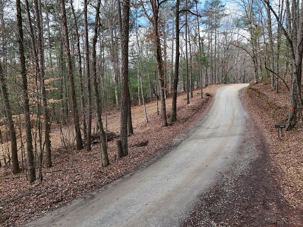 Lot 44A Synacia Drive, Mineral Bluff GA 30559 - Photo