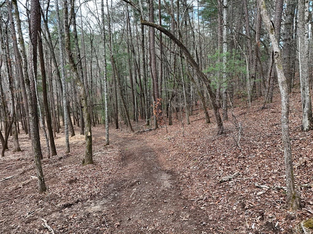 Lot 45B Synacia Drive, Mineral Bluff GA 30559 - Photo