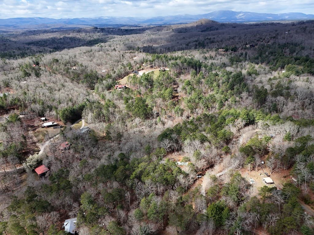 Lot 45B Synacia Drive, Mineral Bluff GA 30559 - Photo