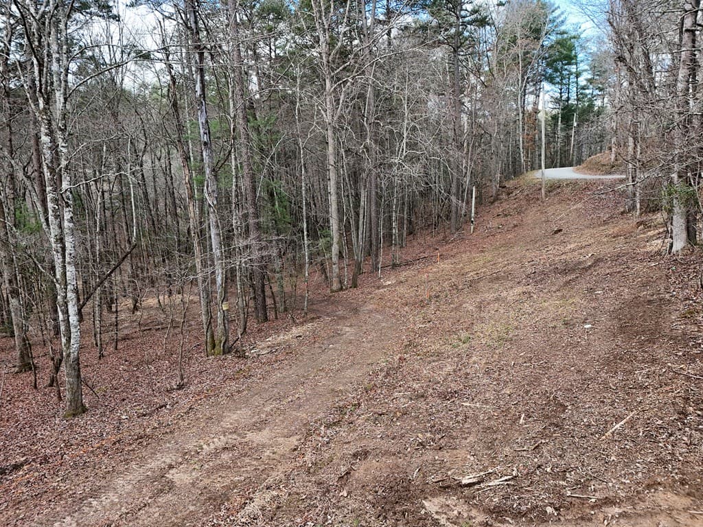 Lot 45B Synacia Drive, Mineral Bluff GA 30559 - Photo