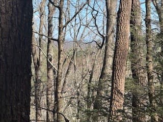 Lot 14 Butler Creek Road, Cherry Log GA 30522 - Photo