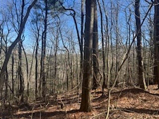 Lot 14 Butler Creek Road, Cherry Log GA 30522 - Photo