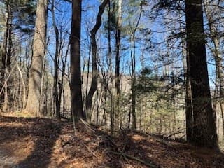 Lot 14 Butler Creek Road, Cherry Log GA 30522 - Photo