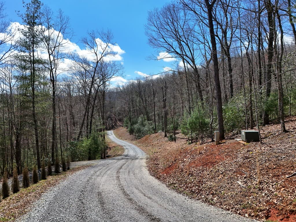 Lot 9 Native Trail, Blue Ridge GA 30513 - Photo