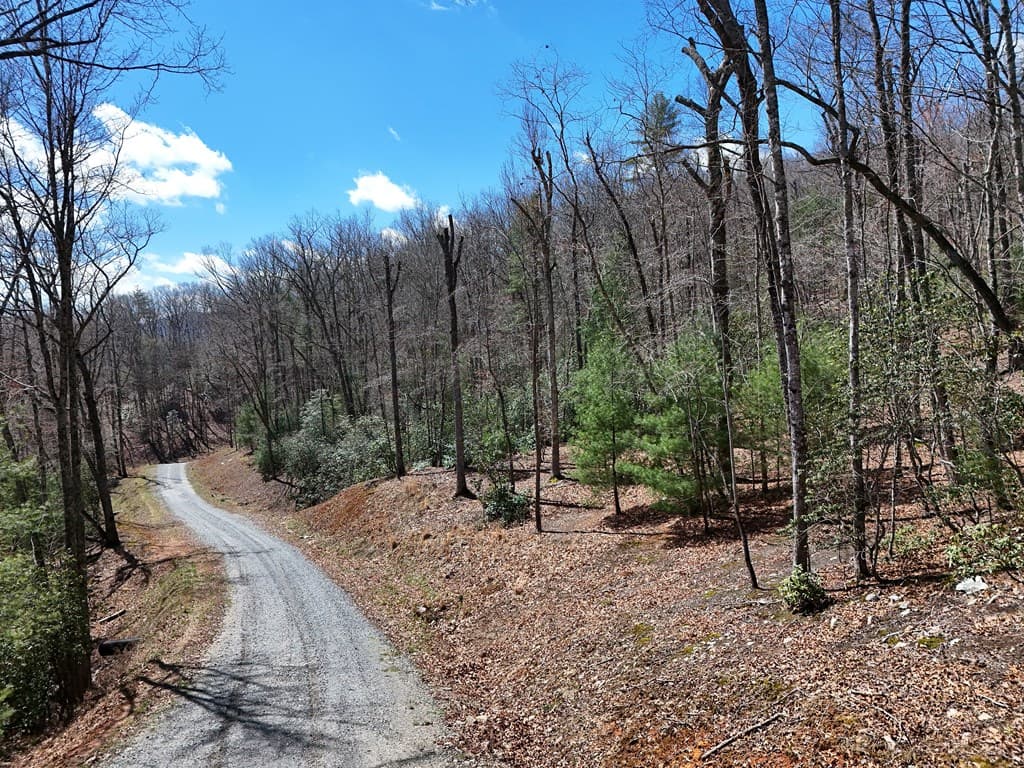 Lot 9 Native Trail, Blue Ridge GA 30513 - Photo