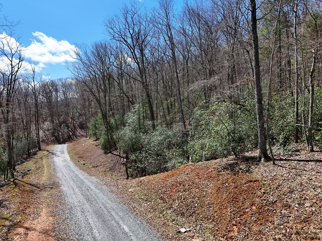 Lot 9 Native Trail, Blue Ridge GA 30513 - Photo