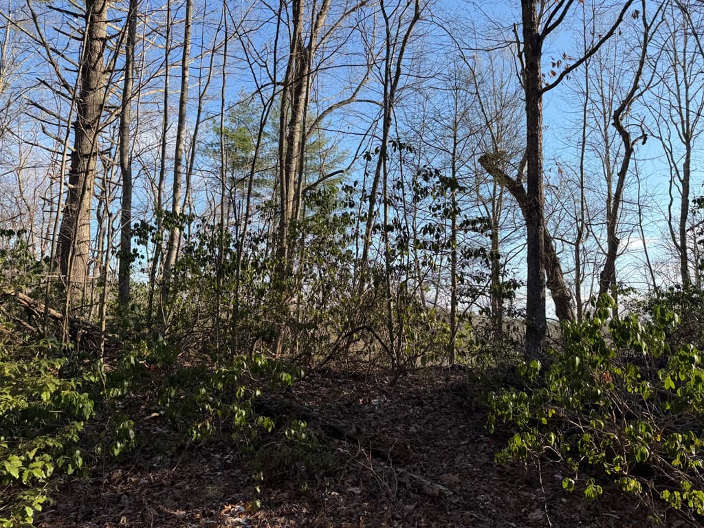 Lot 43 Laurel Lane, Murphy NC 28906 - Photo