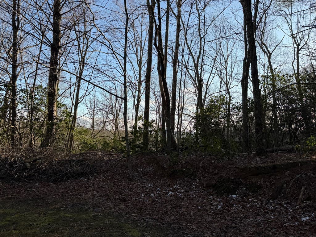 Lot 43 Laurel Lane, Murphy NC 28906 - Photo