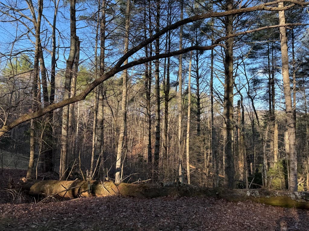 Lot 43 Laurel Lane, Murphy NC 28906 - Photo