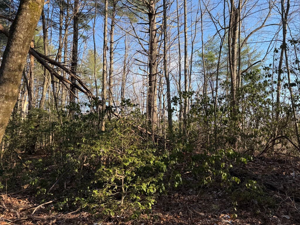 Lot 43 Laurel Lane, Murphy NC 28906 - Photo