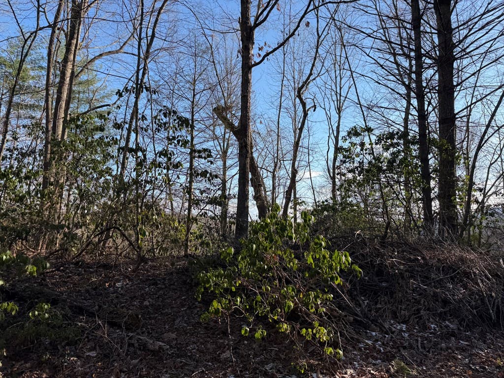 Lot 43 Laurel Lane, Murphy NC 28906 - Photo