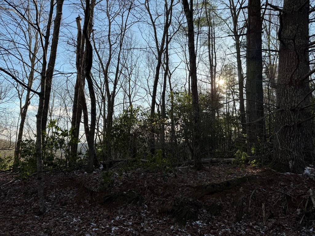 Lot 43 Laurel Lane, Murphy NC 28906 - Photo