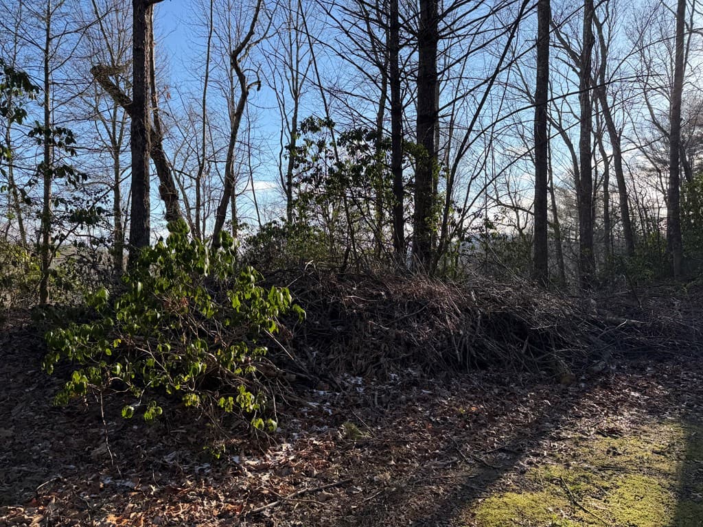 Lot 43 Laurel Lane, Murphy NC 28906 - Photo