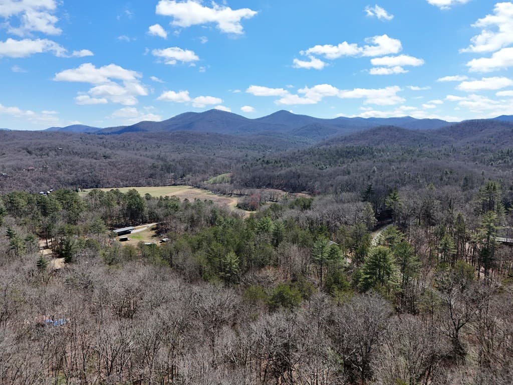 Lot 15 Native Trail, Blue Ridge GA 30513 - Photo