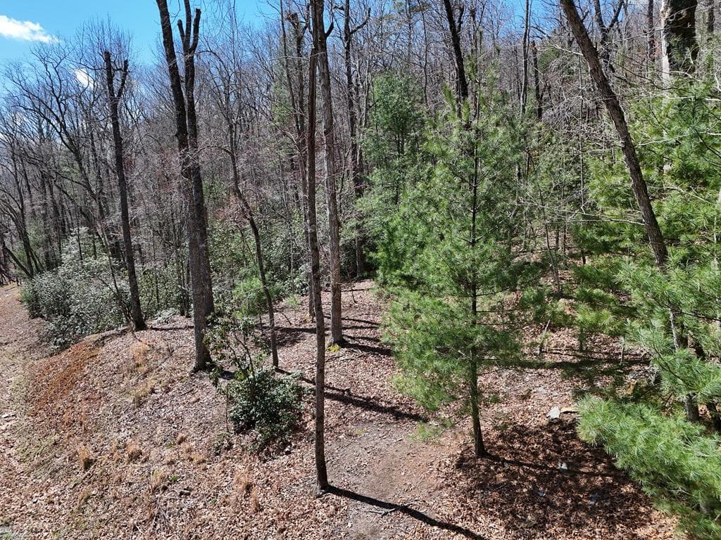 Lot 15 Native Trail, Blue Ridge GA 30513 - Primary photo