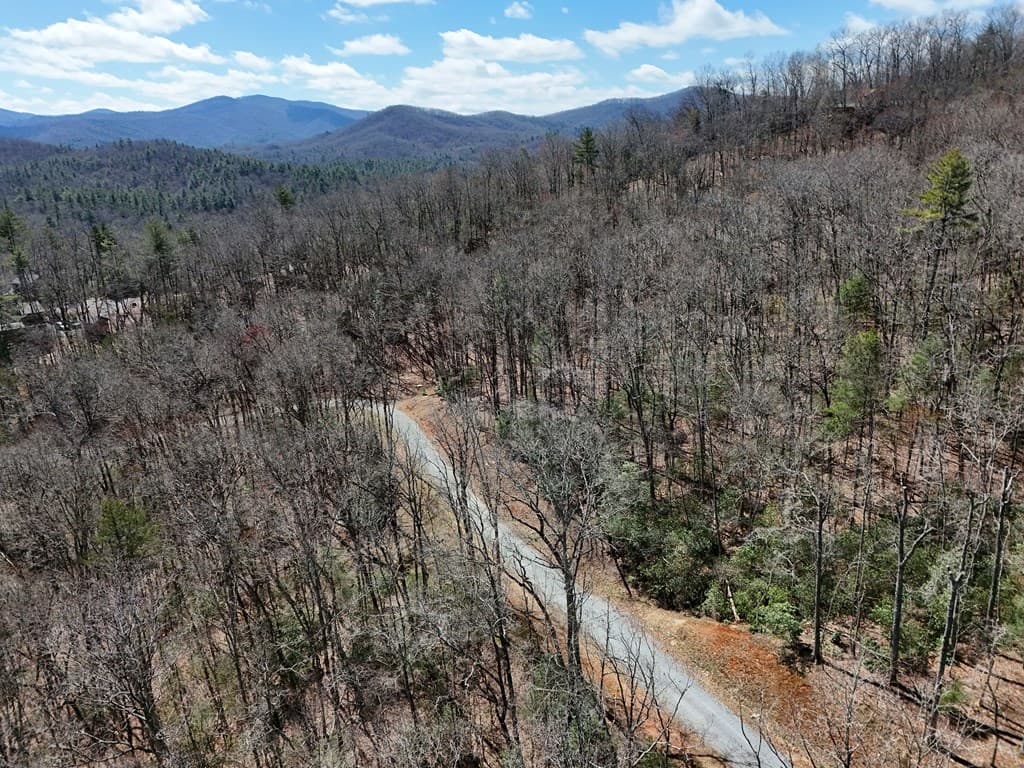 Lot 15 Native Trail, Blue Ridge GA 30513 - Photo