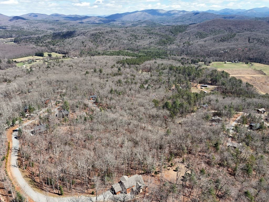 Lot 15 Native Trail, Blue Ridge GA 30513 - Photo