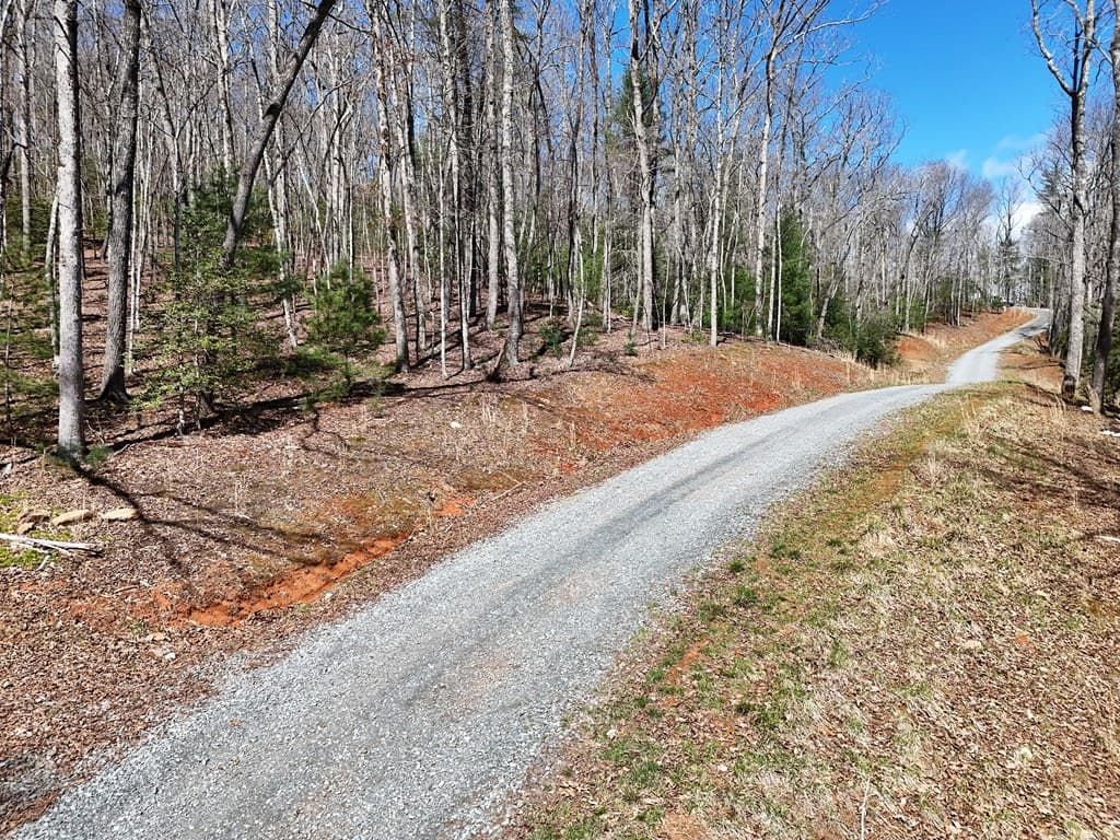 Lot 15 Native Trail, Blue Ridge GA 30513 - Photo