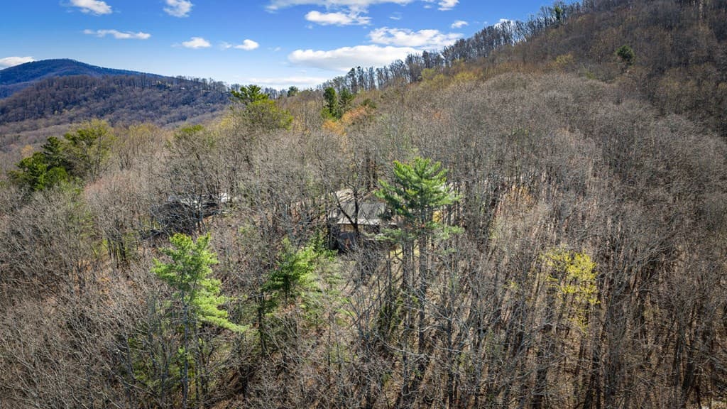 240 Mountain View Court, Ellijay GA 30536 - Photo