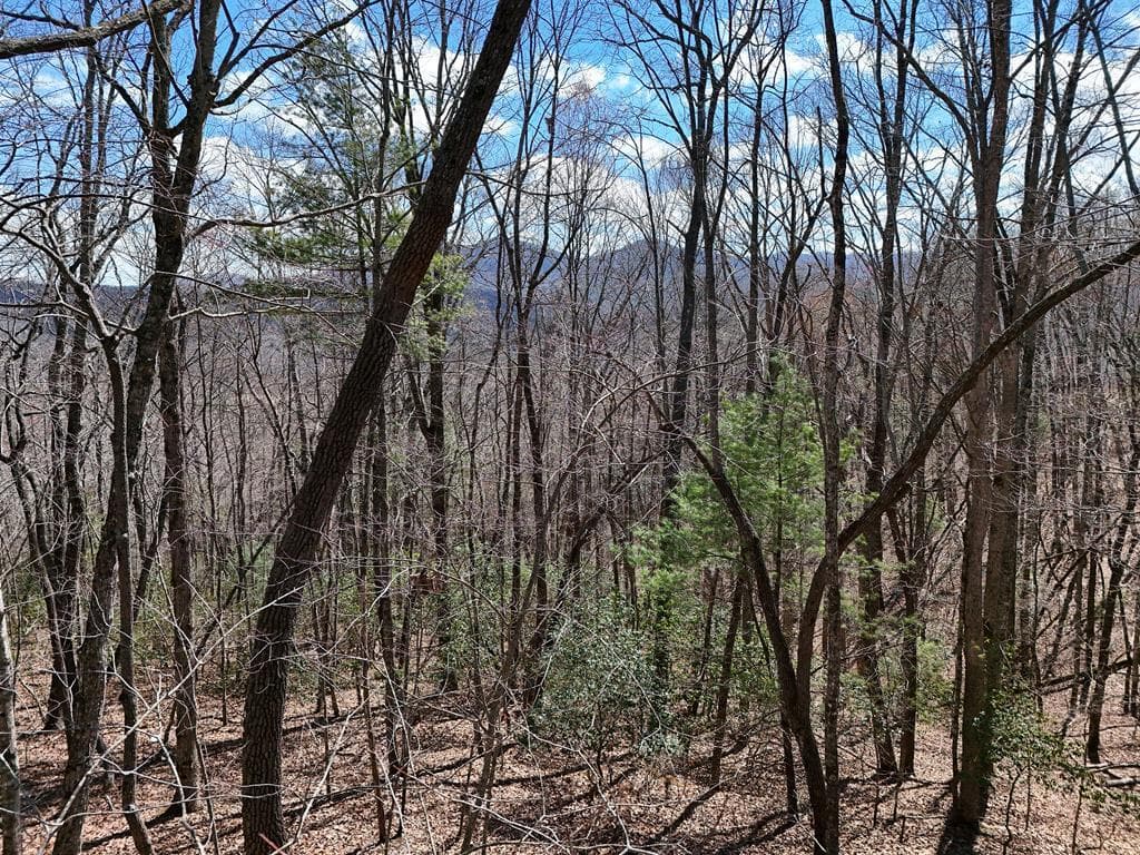 Lot 12 Native Trail, Blue Ridge GA 30513 - Photo