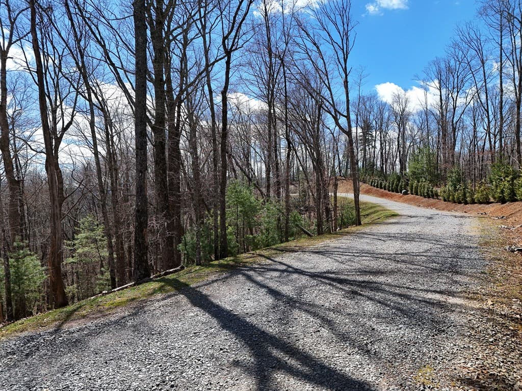 Lot 12 Native Trail, Blue Ridge GA 30513 - Photo