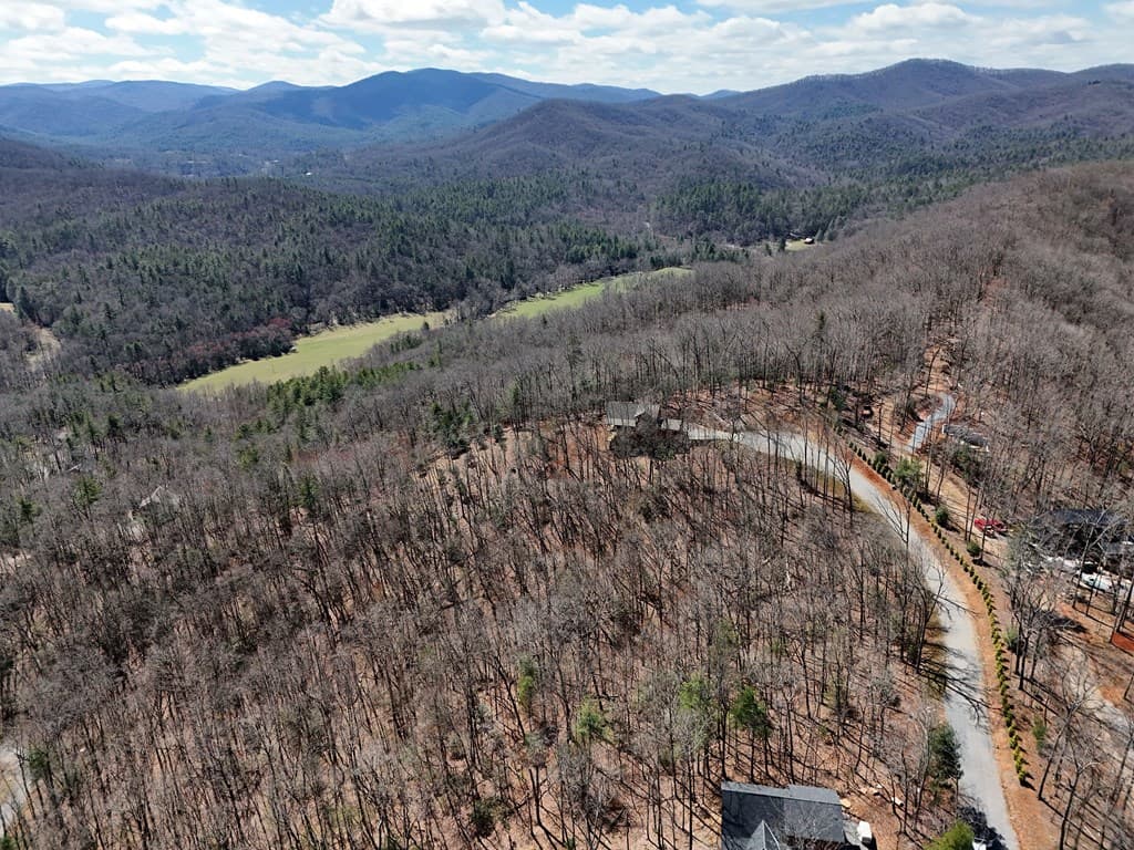 Lot 12 Native Trail, Blue Ridge GA 30513 - Photo