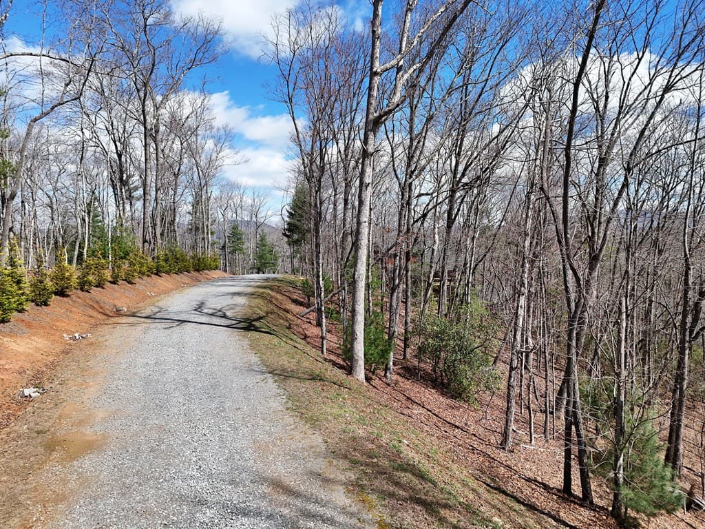 Lot 12 Native Trail, Blue Ridge GA 30513 - Photo