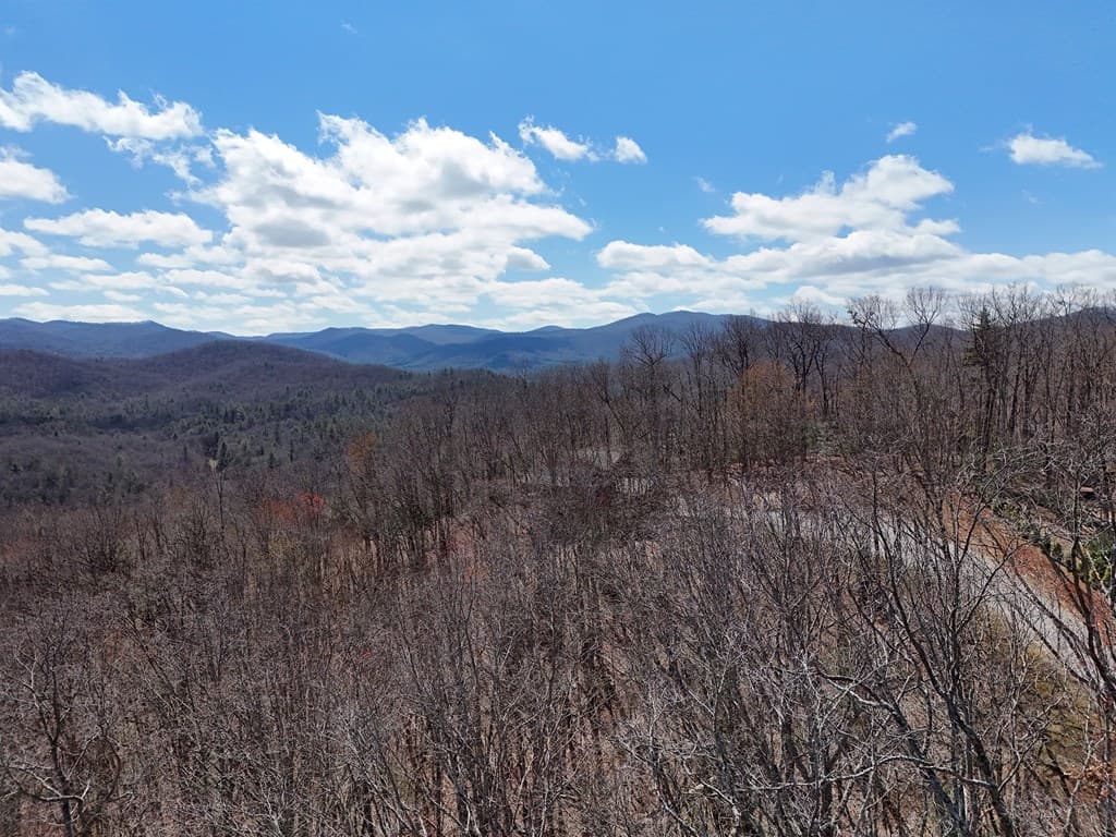 Lot 12 Native Trail, Blue Ridge GA 30513 - Photo
