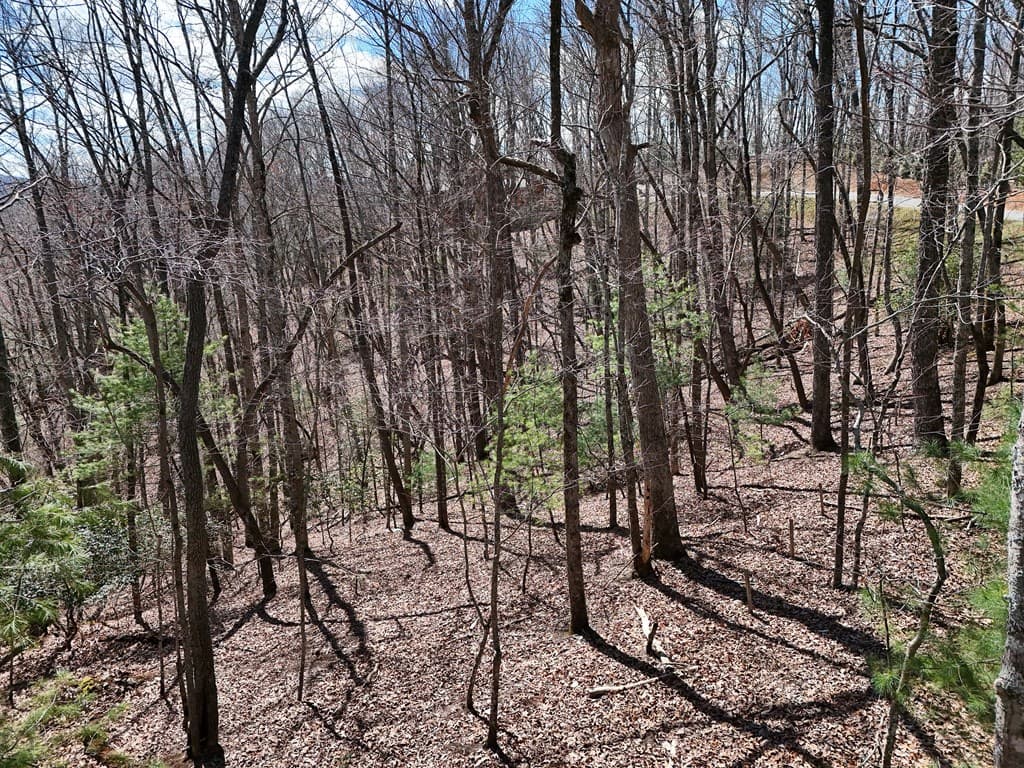 Lot 12 Native Trail, Blue Ridge GA 30513 - Photo
