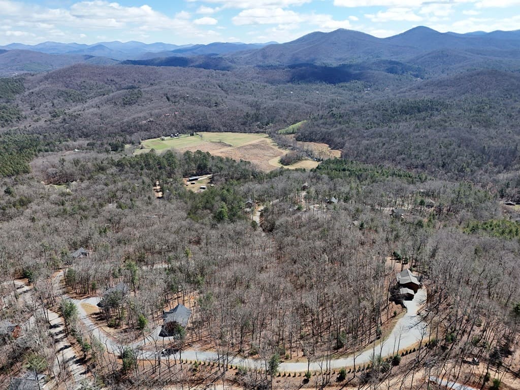 Lot 12 Native Trail, Blue Ridge GA 30513 - Photo