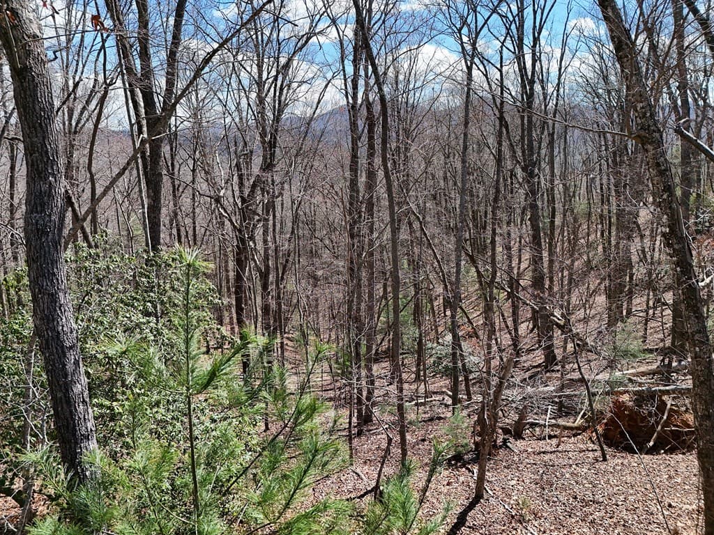 Lot 12 Native Trail, Blue Ridge GA 30513 - Photo