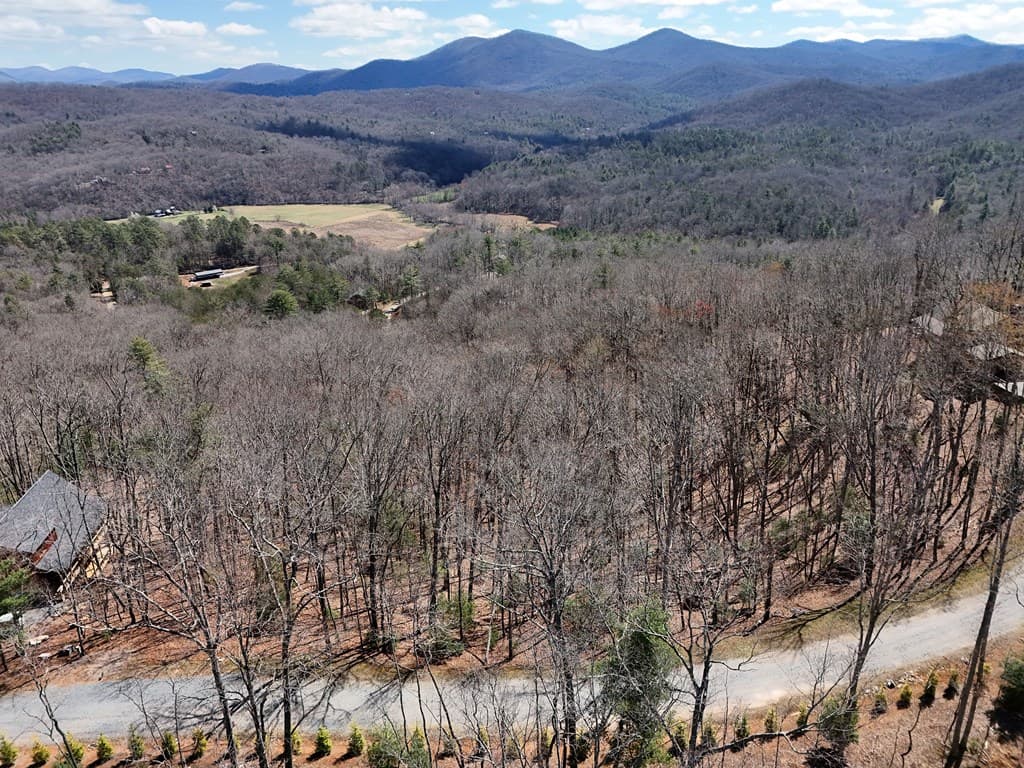 Lot 12 Native Trail, Blue Ridge GA 30513 - Photo