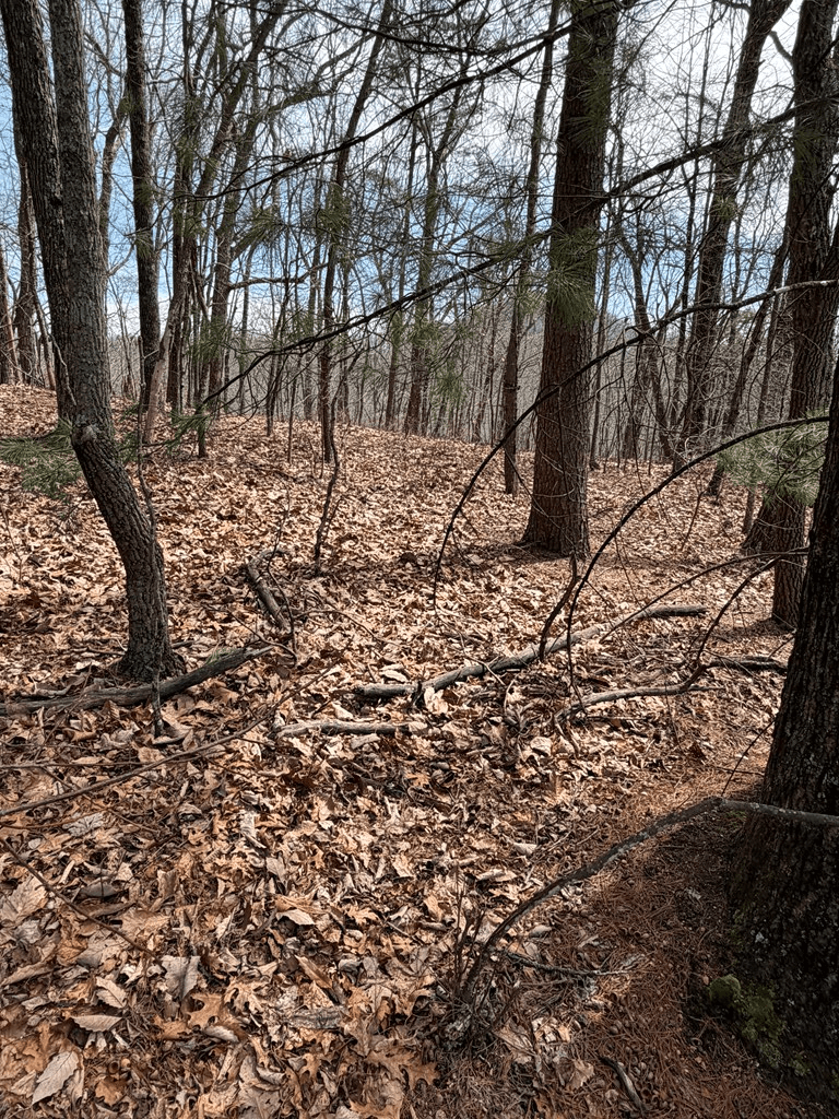 7.26 AC Panorama Drive, Murphy NC 28906 - Photo