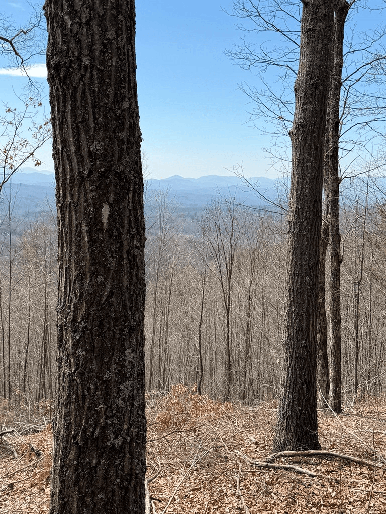 7.26 AC Panorama Drive, Murphy NC 28906 - Photo