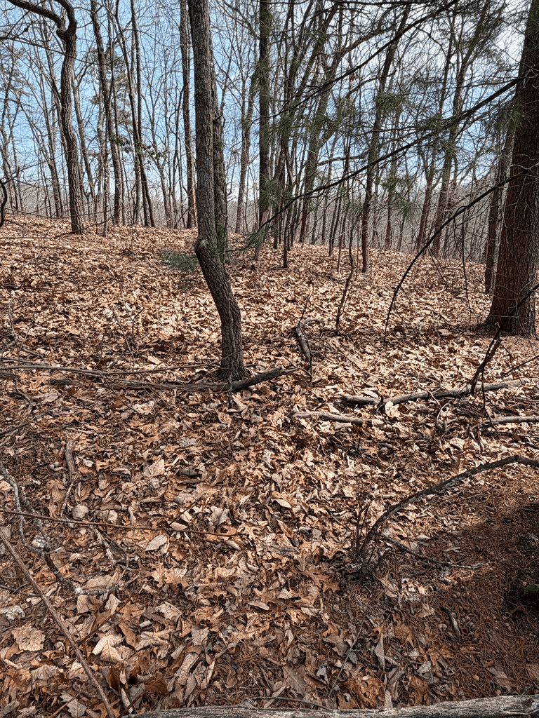 7.26 AC Panorama Drive, Murphy NC 28906 - Photo