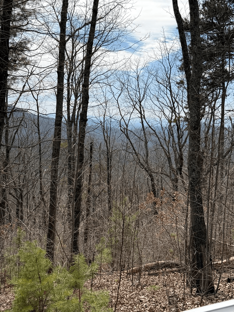 7.26 AC Panorama Drive, Murphy NC 28906 - Photo
