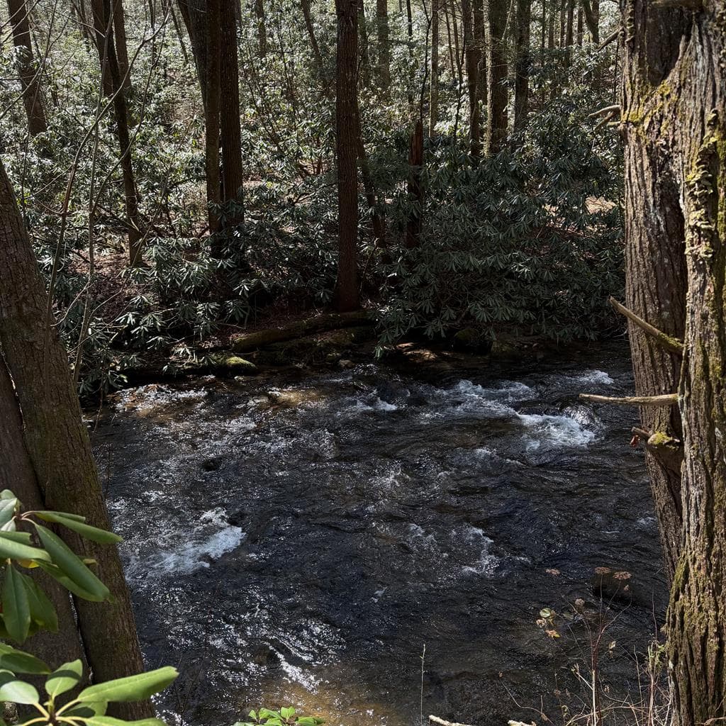 494 Lower Prince Mountain Road, Cherry Log GA 30522 - Photo
