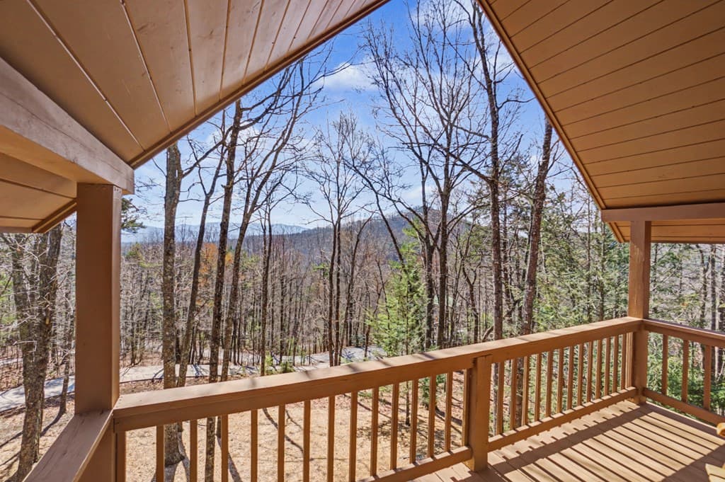 494 Lower Prince Mountain Road, Cherry Log GA 30522 - Photo