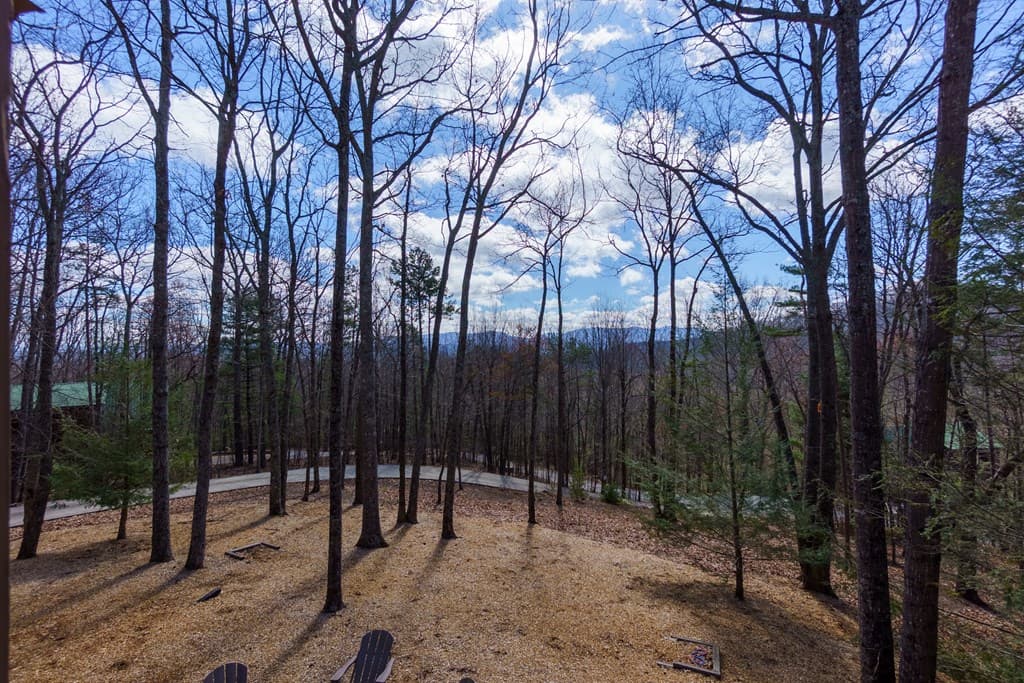 494 Lower Prince Mountain Road, Cherry Log GA 30522 - Photo