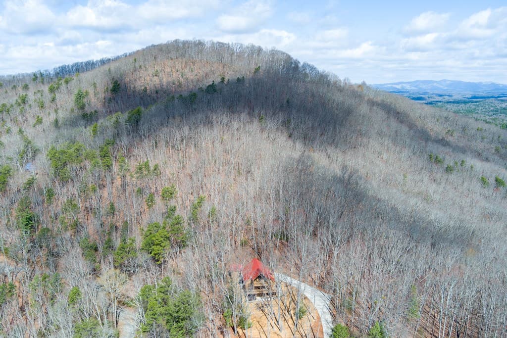 494 Lower Prince Mountain Road, Cherry Log GA 30522 - Photo