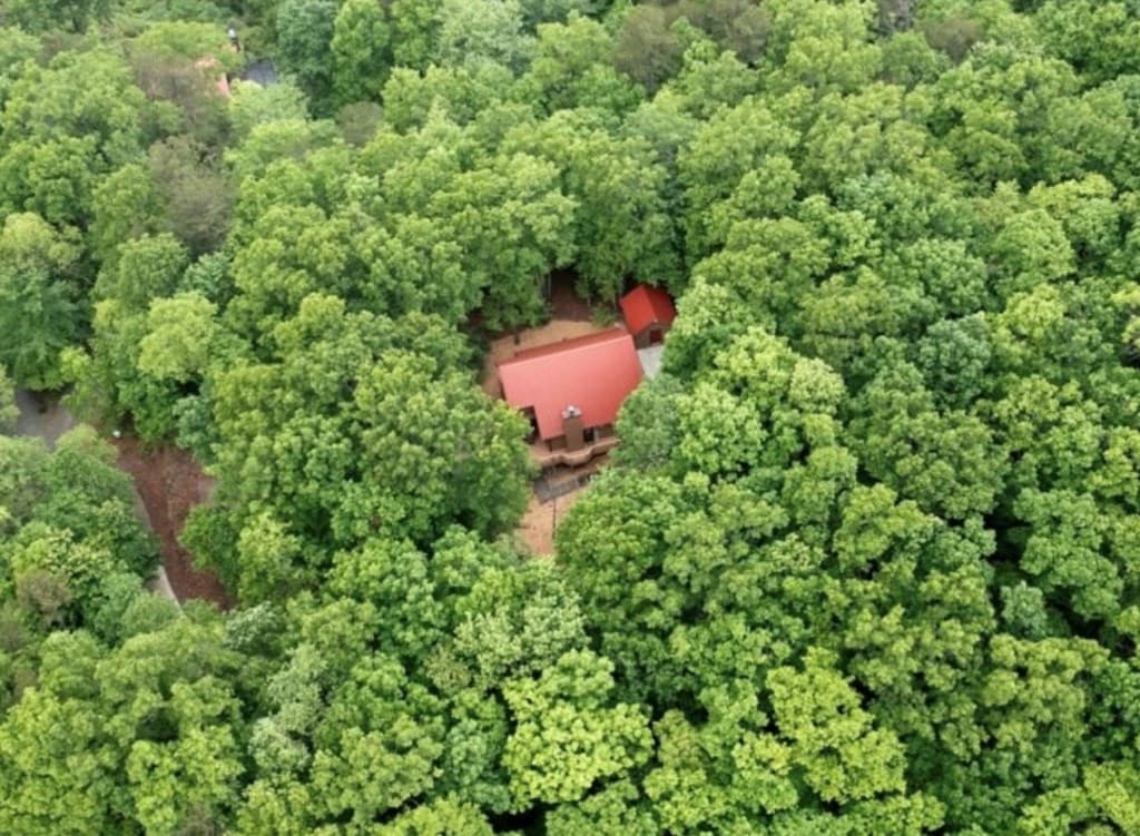 494 Lower Prince Mountain Road, Cherry Log GA 30522 - Photo