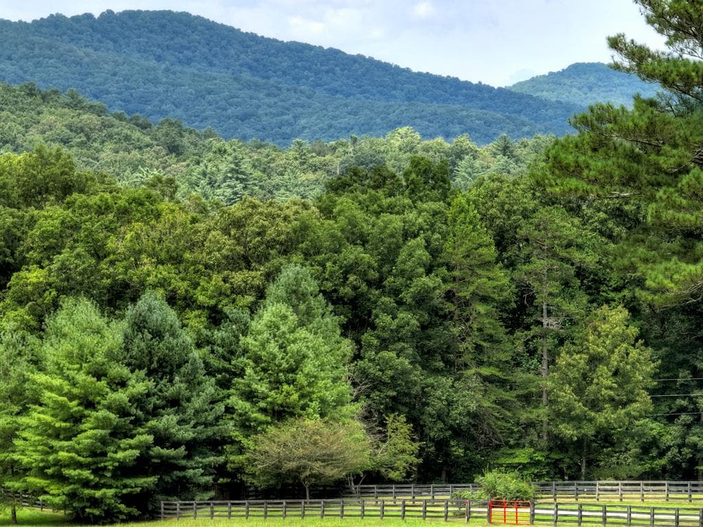 LT 14R Tanager Trail, Ellijay GA 30536 - Photo