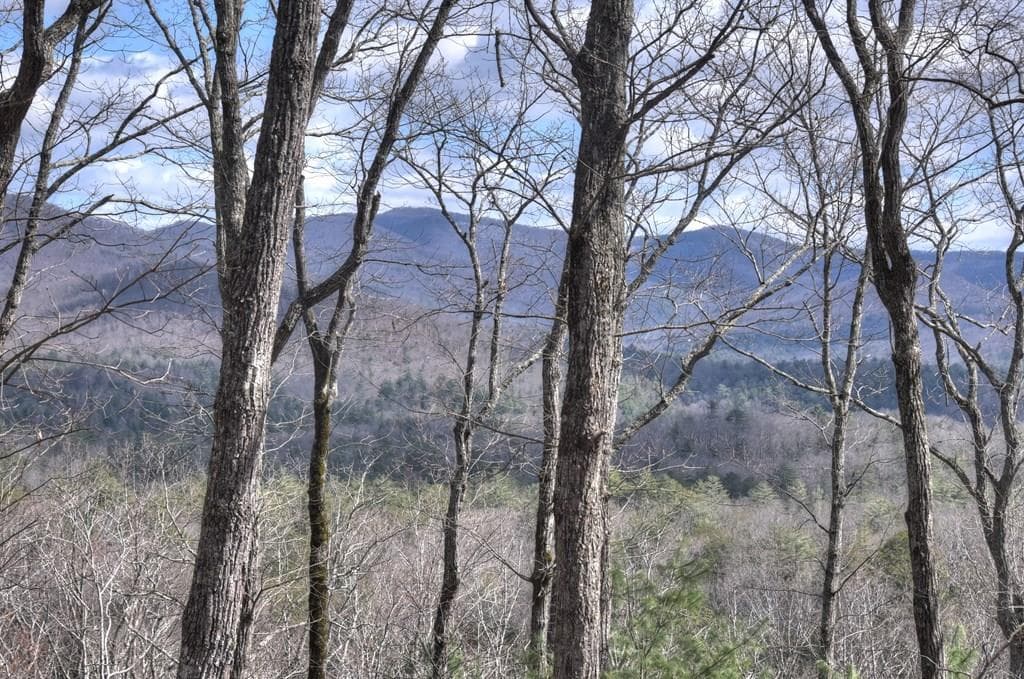 LT 14R Tanager Trail, Ellijay GA 30536 - Photo