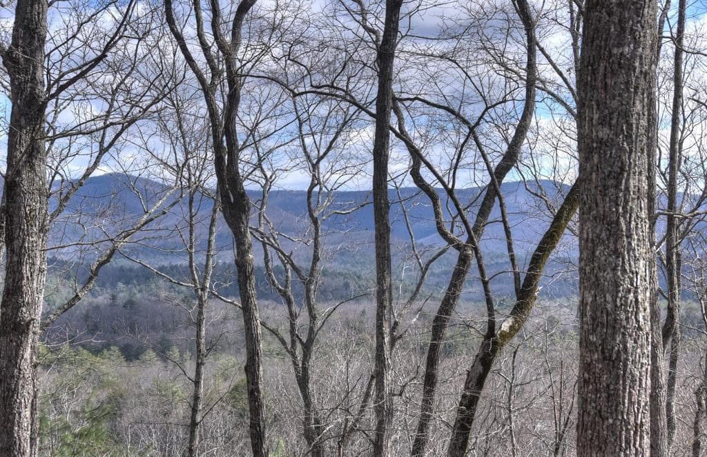 LT 14R Tanager Trail, Ellijay GA 30536 - Photo
